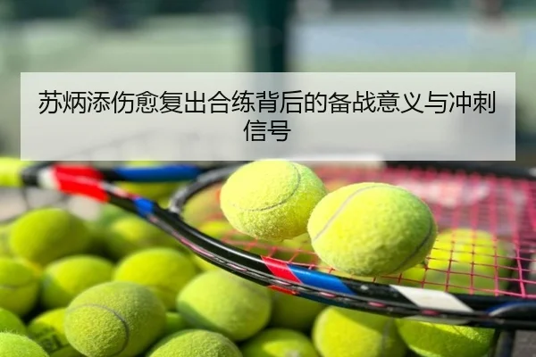 苏炳添伤愈复出合练背后的备战意义与冲刺信号