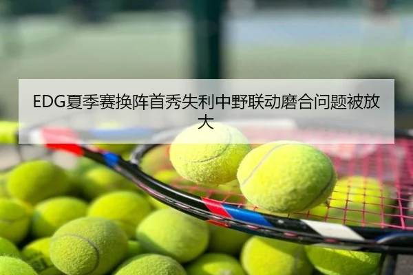 EDG夏季赛换阵首秀失利中野联动磨合问题被放大