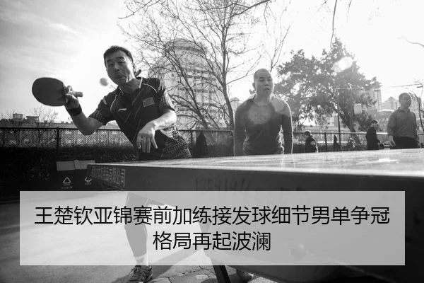 王楚钦亚锦赛前加练接发球细节男单争冠格局再起波澜